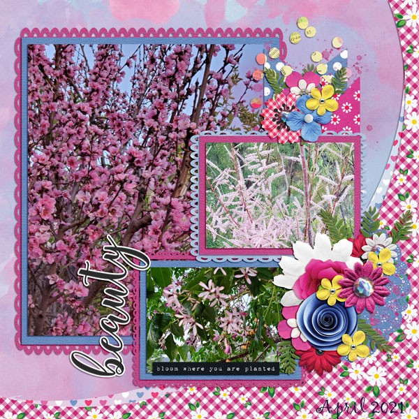 Full Bloom