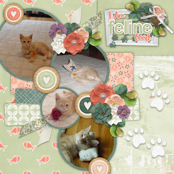 Full Circle Templates 20 #2 with Cattitude-Connie Prince