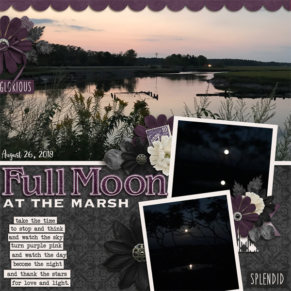 Full Moon at the marsh