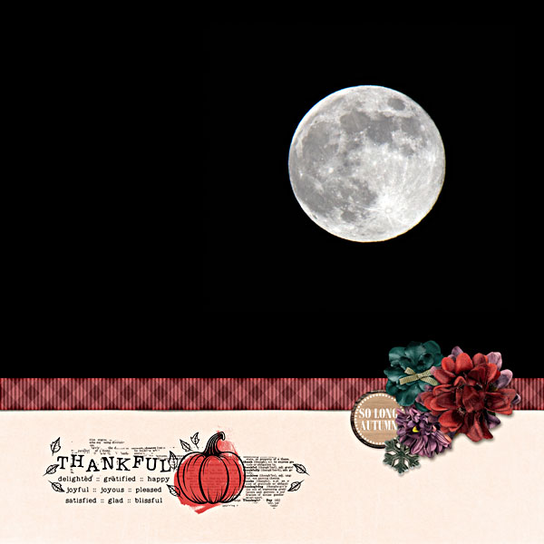 Full Moon Nov 2024