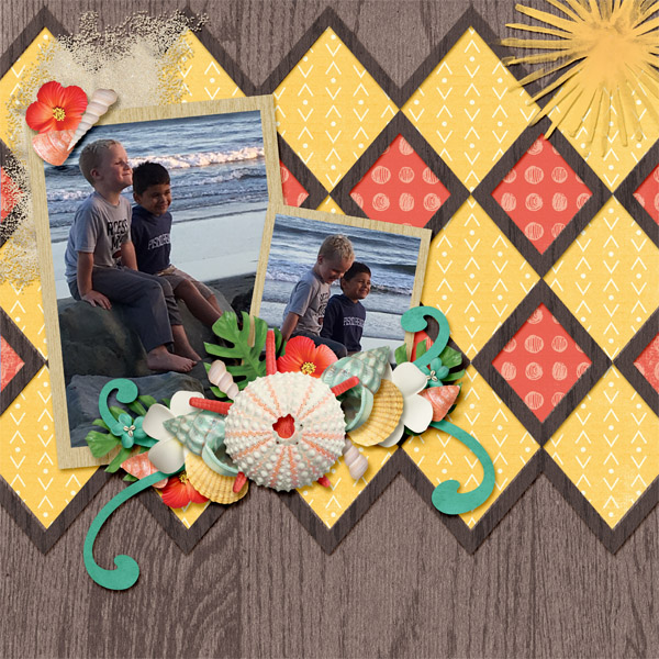 Fun at the Beach