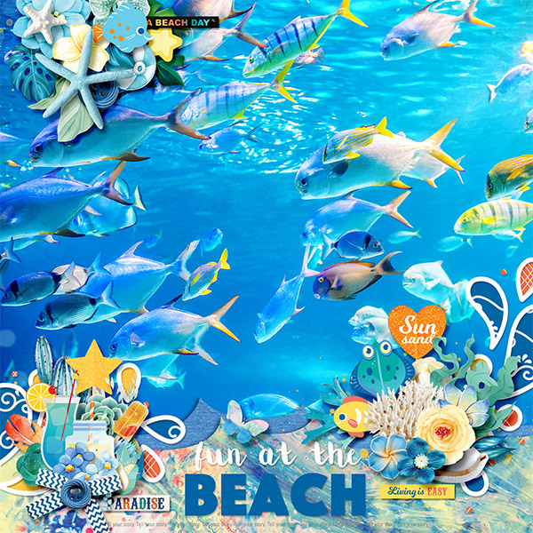 Fun at the beach