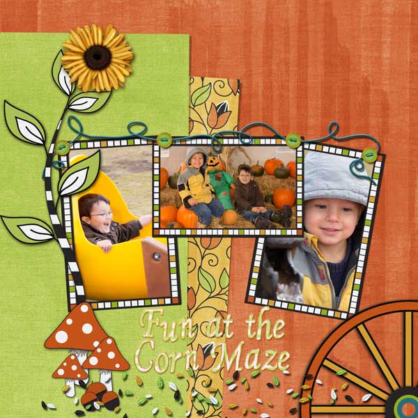 Fun at the Corn Maze