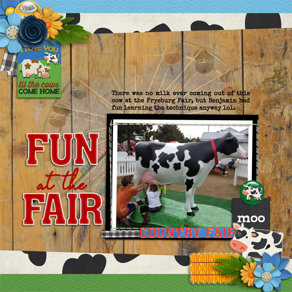 Fun at the Fair