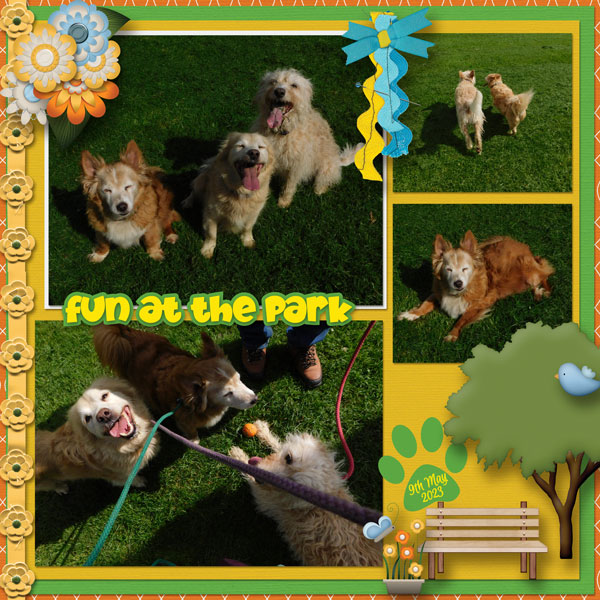Fun At The Park