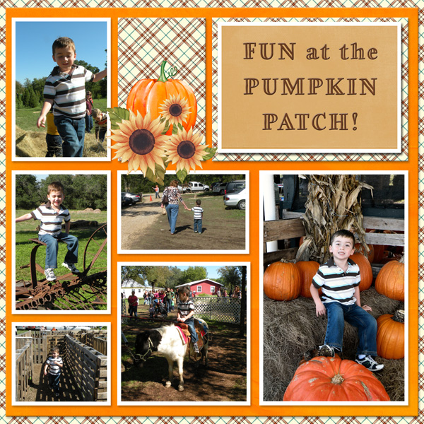 FUN at the PUMPKIN PATCH!