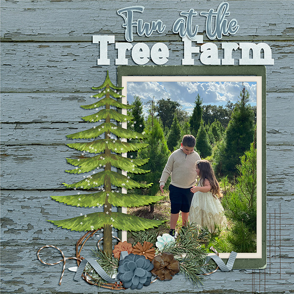 Fun at the Tree Farm