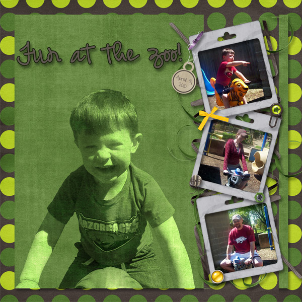 Fun at the Zoo