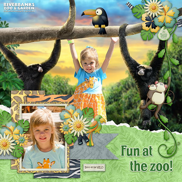 Fun at the Zoo!