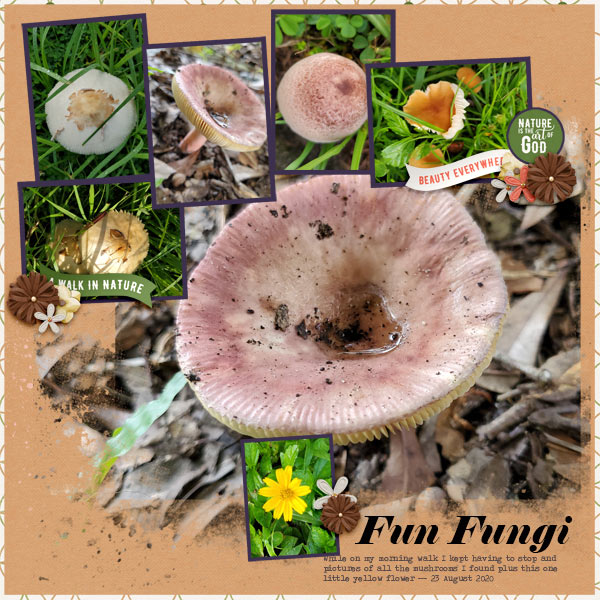 Fun Fungi