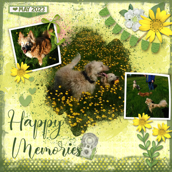 Fun in the Buttercups