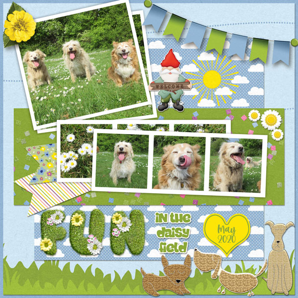 Fun in the Daisies