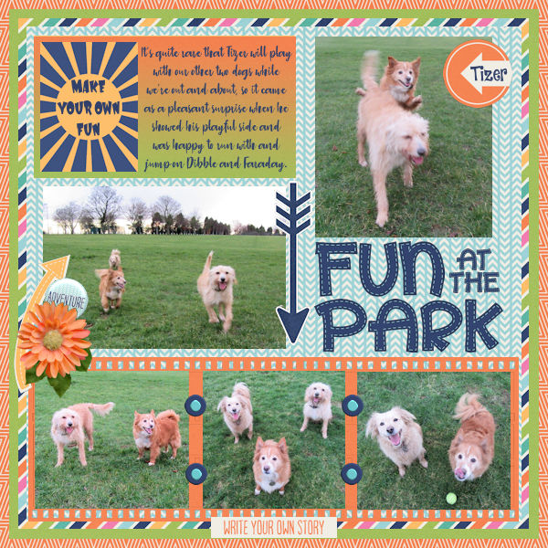Fun in the park.