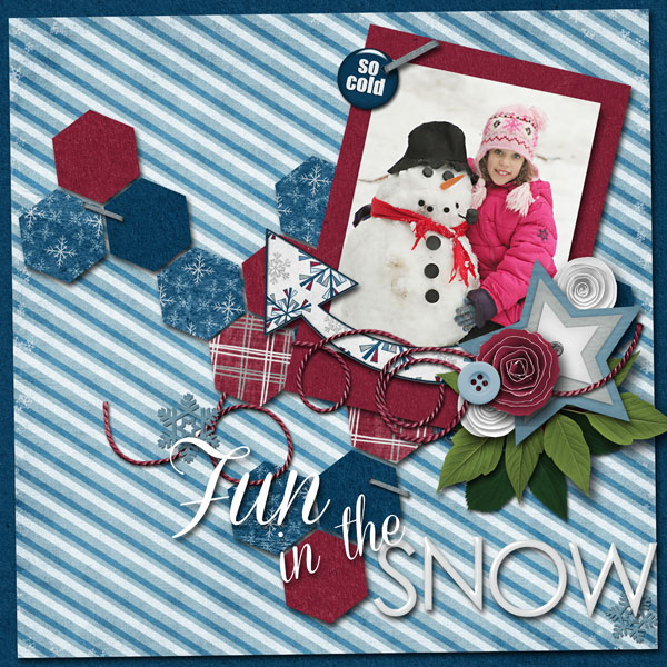 Fun in the Snow