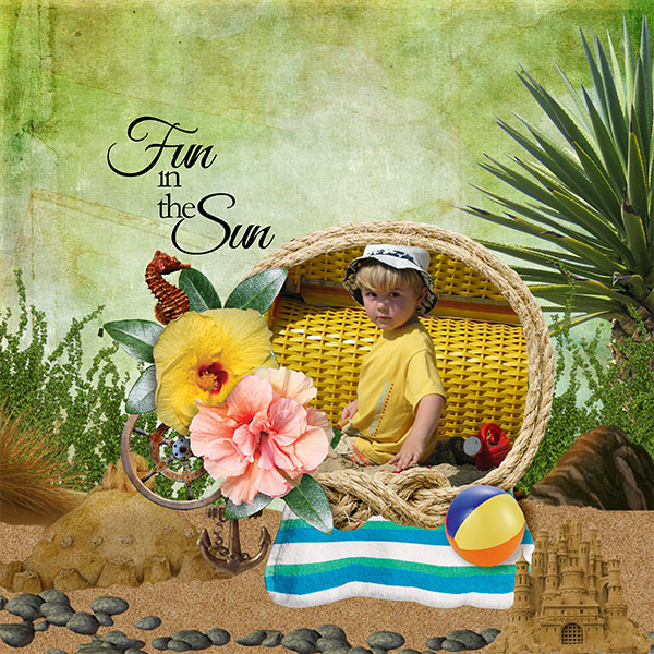 Fun in the Sun