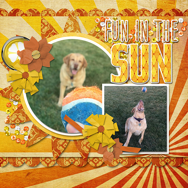 Fun in the Sun