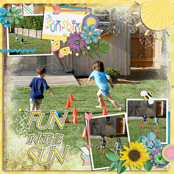 fun in the sun