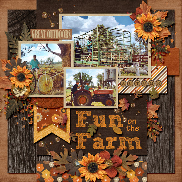 Fun on the Farm