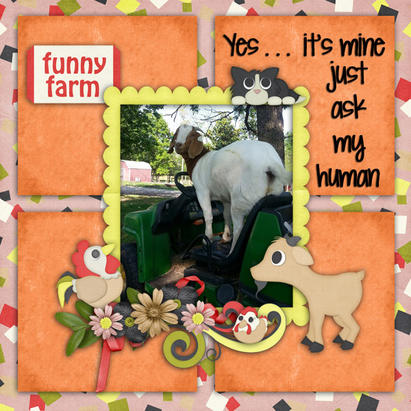 Fun on the farm