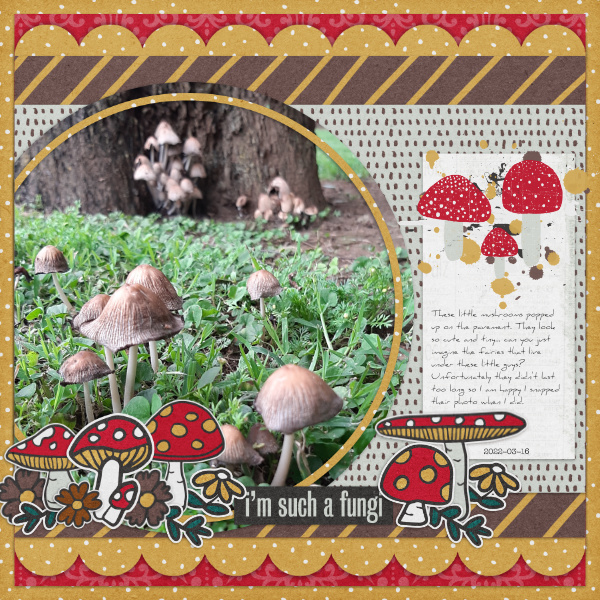 Fungi
