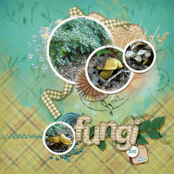 Fungi