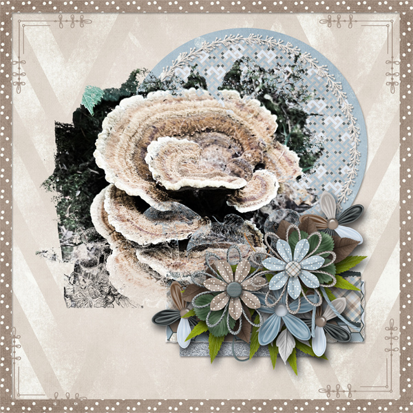 Fungi