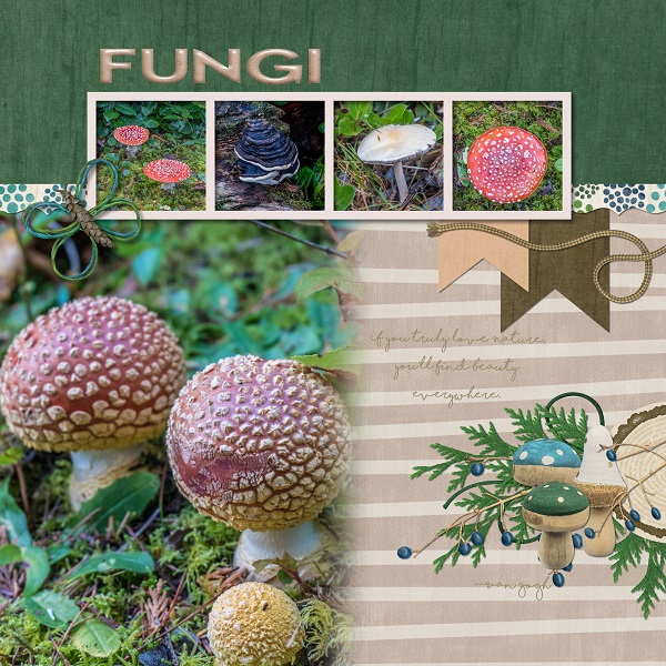 Fungus Amoung Us