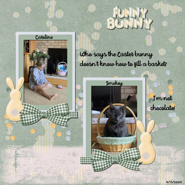 Funny Bunny