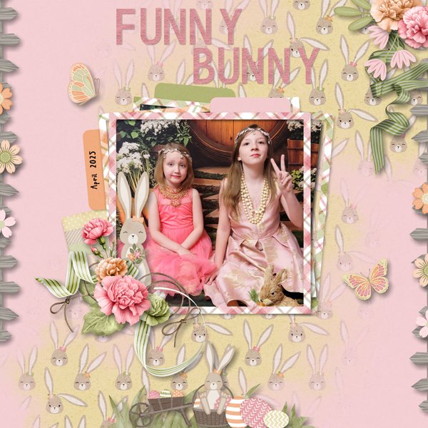 Funny Bunny