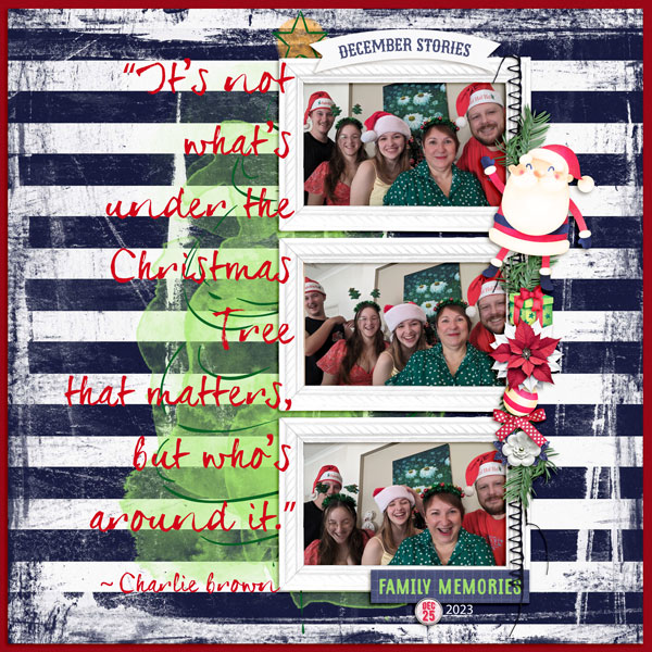 Funny Christmas Photos