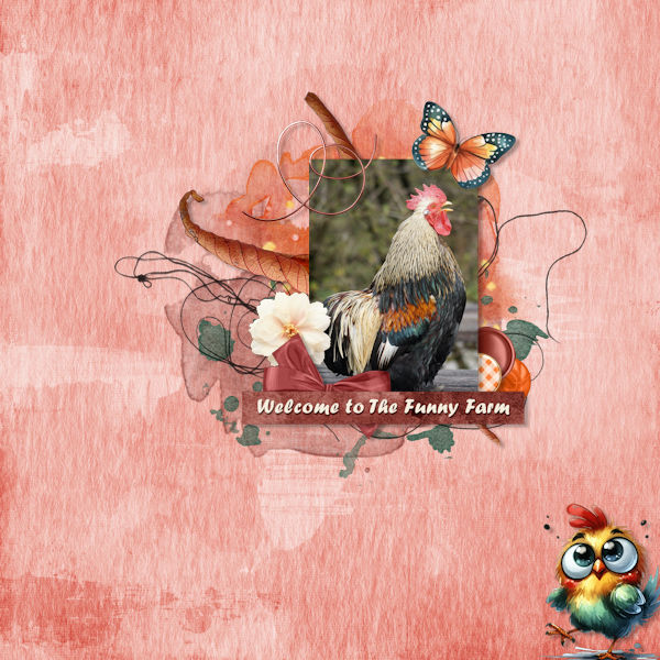 Funny Farm