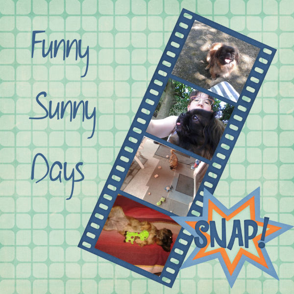 Funny sunny days