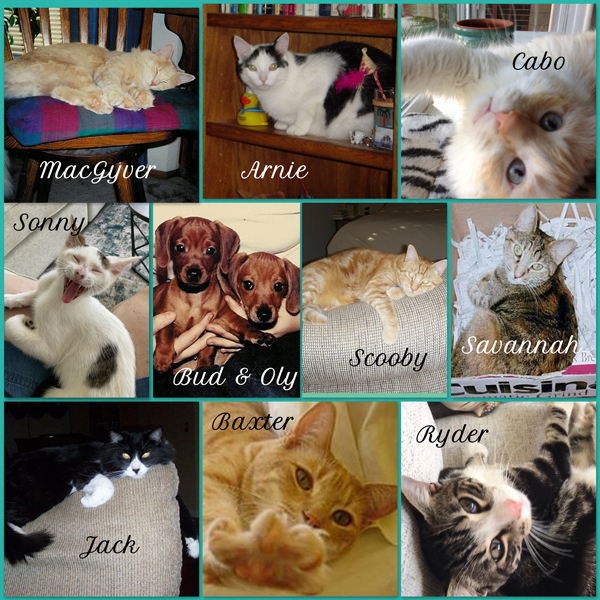 Fur Babies