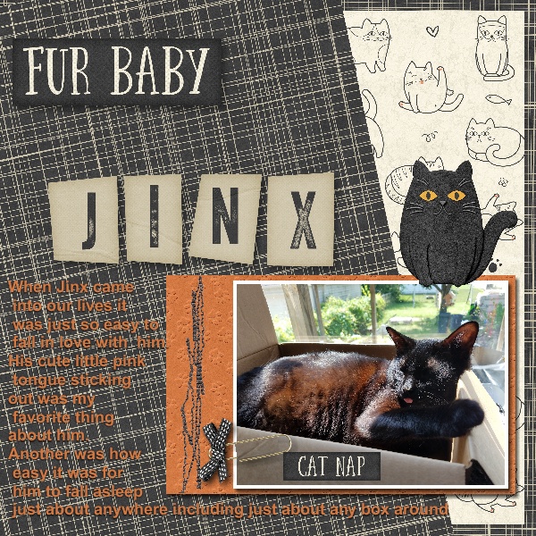 Fur Baby Jinx