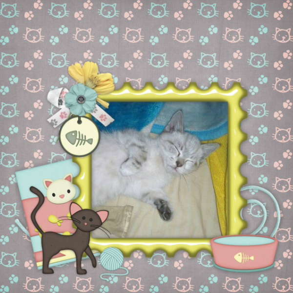 Fur-baby1