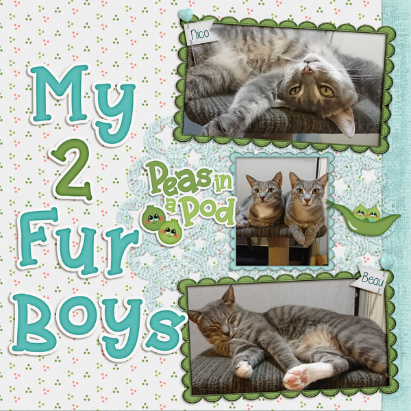 Fur Boys