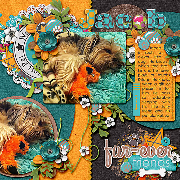 Fur-ever friends