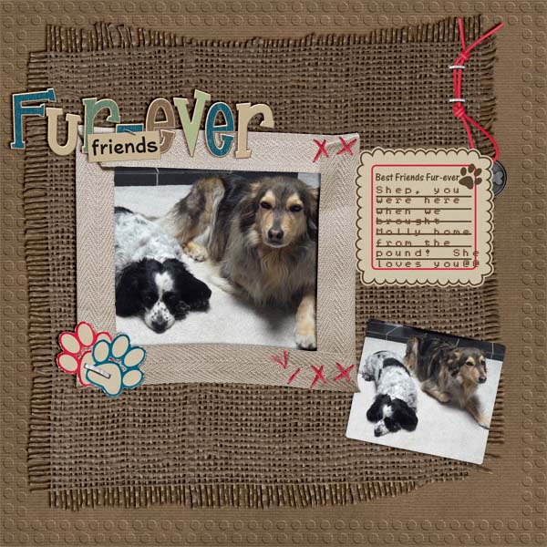 Fur Ever Friends