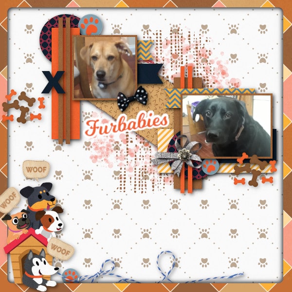 Furbabies