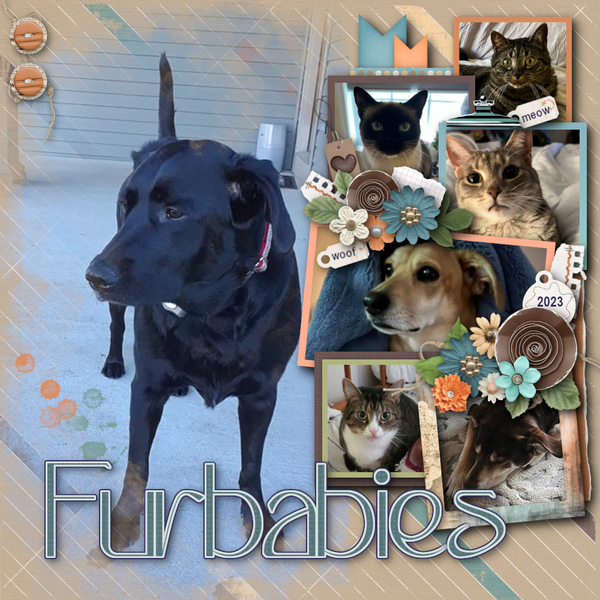 Furbabies