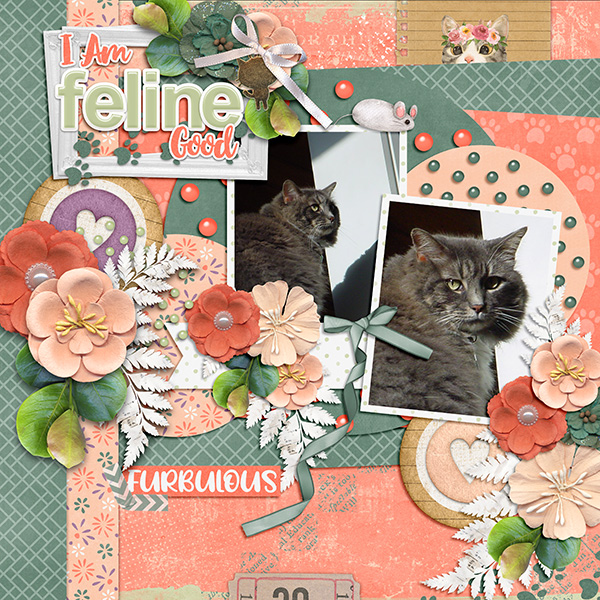 Furbulous