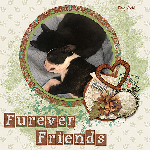 Furever Friends