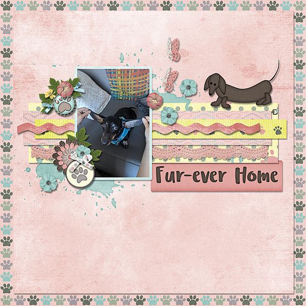 FurEver Home Bruce