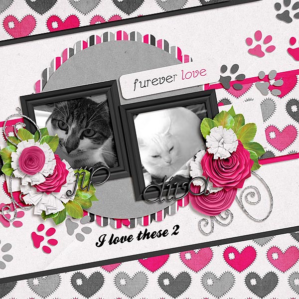 Furever Love