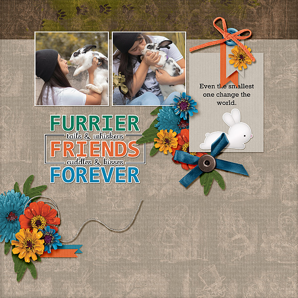 Furrier Friend