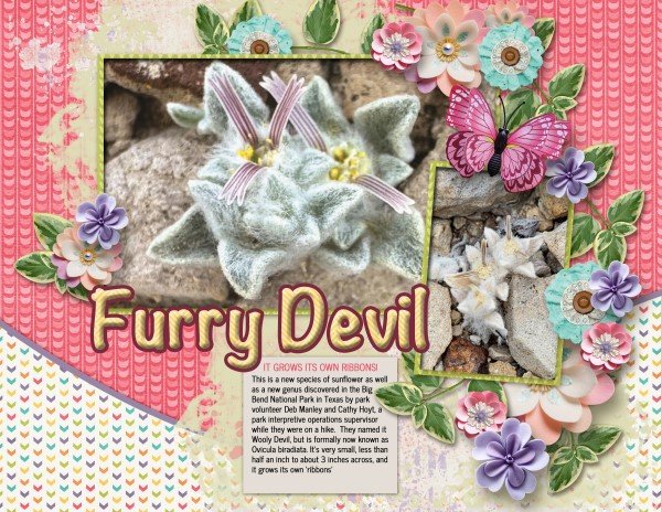 Furry Devil