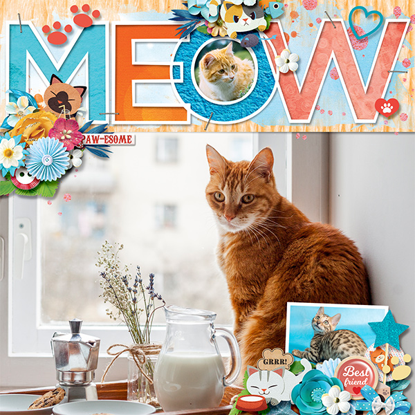 Furry friend - Meow