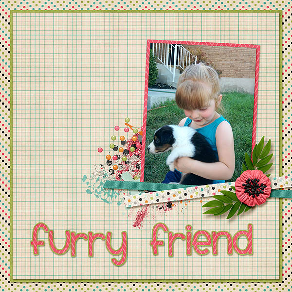 Furry Friend