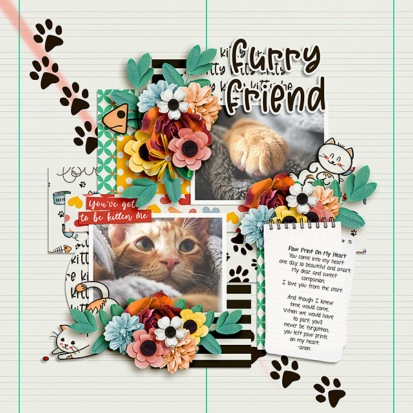 Furry Friend