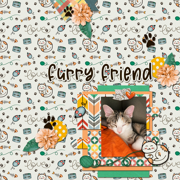 Furry Friend